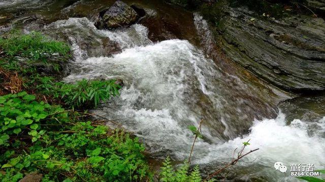 上海市少工委召开八届五次全体（扩大）会议
