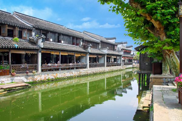 媒体人:三场踢下来没进球,扬科维奇必须下课